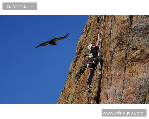 重庆排球队耐力之争引发热议球迷与专家各执己见探讨背后原因