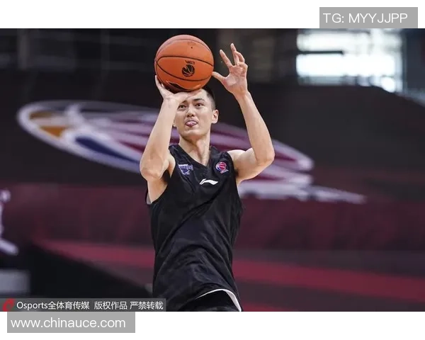 南京羽毛球队耐力训练的深度分析与发展探讨