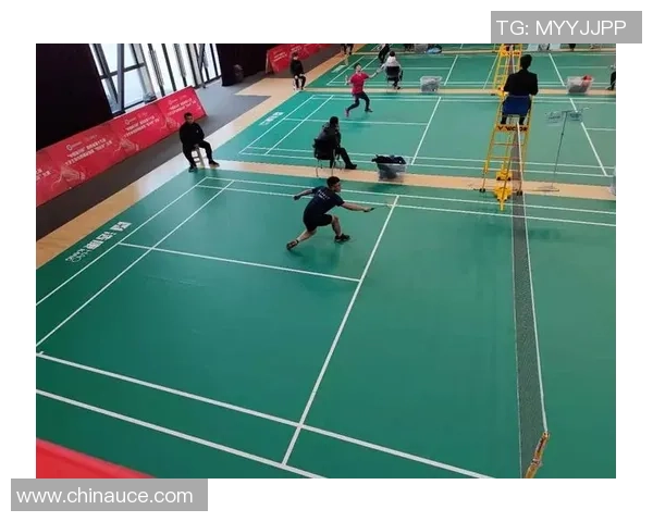 深圳羽毛球队的节奏体系与战术解析：提升竞技水平的关键策略