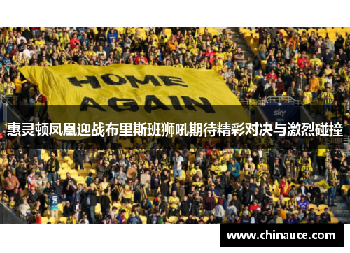 惠灵顿凤凰迎战布里斯班狮吼期待精彩对决与激烈碰撞