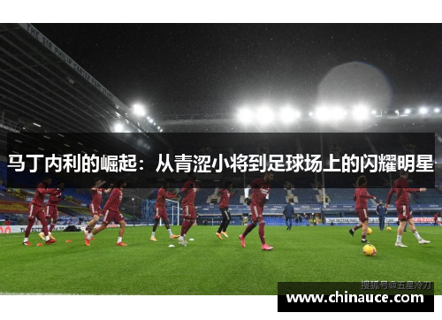 马丁内利的崛起：从青涩小将到足球场上的闪耀明星
